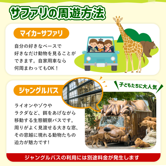 アフリカンサファリ入園券とオリジナルクリアファイルのセット(入園券(小人4枚)とクリアファイル)チケット 動物園 サファリパーク形動物園 家族旅行 デート 観光【110600800】【九州アフリカ・ライオン・サファリ】