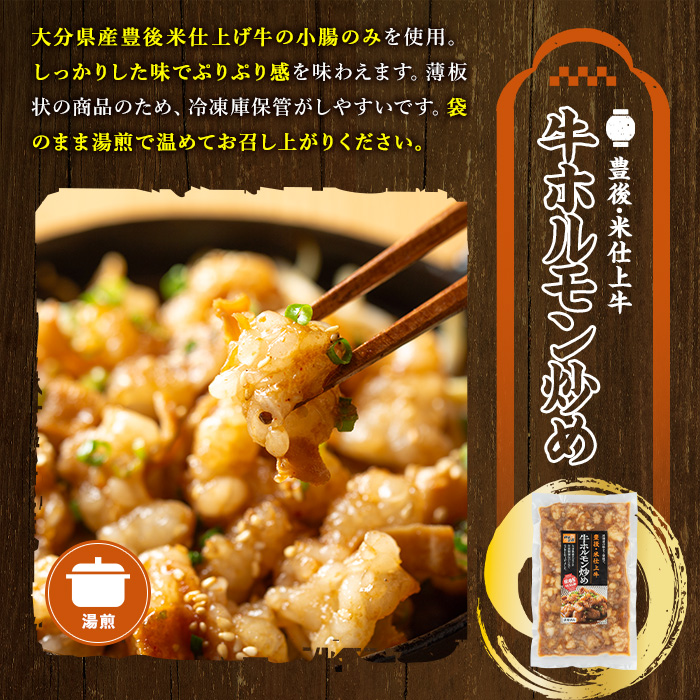 豊後米仕上げ牛牛すじ煮込み＋牛ホルモン炒めセット(合計700g・3パック)牛肉 お肉 小腸 おかず おつまみ 小分け 簡単調理 時短 惣菜【111100301】【神楽茶屋】