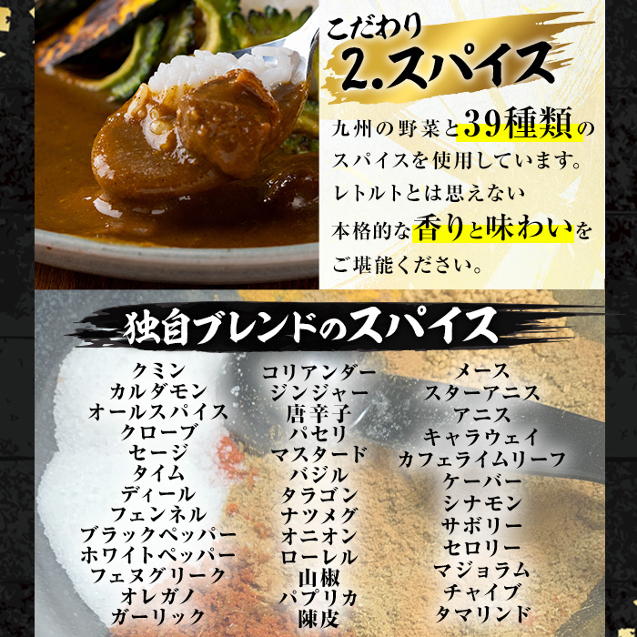 大分地鶏豊のしゃも地鶏出汁スパイスカレー3種セット(合計540g・180g×3パック)レトルト 簡単調理 ご当地カレー【112400201】【天峯ファーム】