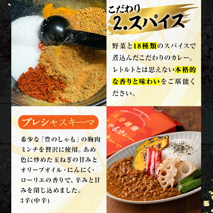 ＜訳あり・パッケージ無し混在＞大分地鶏豊のしゃもカレー「プレシャスキーマ」(合計1.5kg・150g×10パック) 鶏肉 鳥肉 とり肉 地鶏 レトルト 簡単調理【112401100】【天峯ファーム】