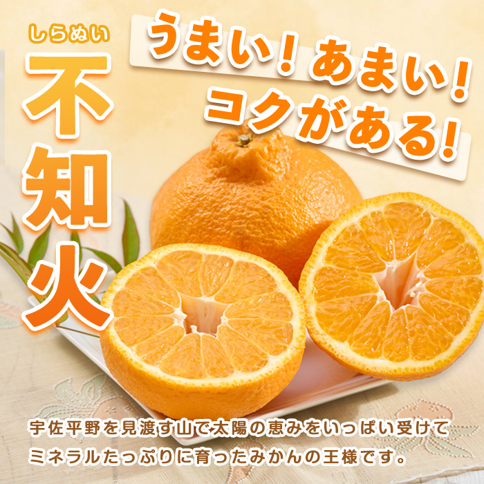 ＜先行予約受付中！2026年3月上旬～4月上旬の間に発送予定＞不知火(2L～3L・2.8kg～)みかん フルーツ しらぬい 柑橘 ミカン【113300300】【谷崎美眞子果樹園】