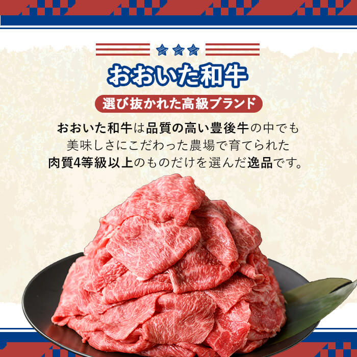 おおいた和牛 サイコロステーキ THE USA Box/DX(計800g・400g×2P) 牛肉 黒毛和牛 A4 お肉【114004201】【一般社団法人　地域商社USA】