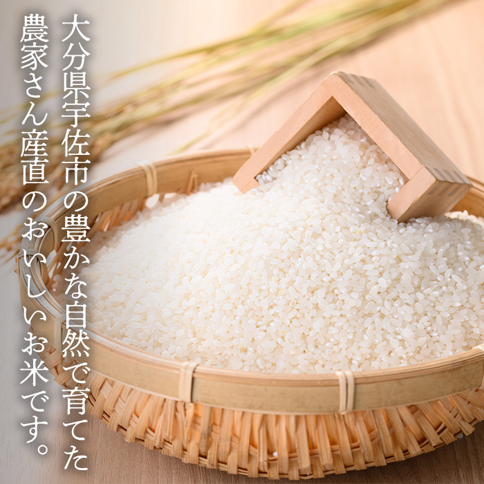 ＜先行予約受付中！2025年11月中旬以降順次発送予定＞＜令和7年産・新米＞ひのひかり 白米 (計20kg)お米 20キロ ヒノヒカリ 美白米 真空パック 真空包装【114900500】【祥田産業