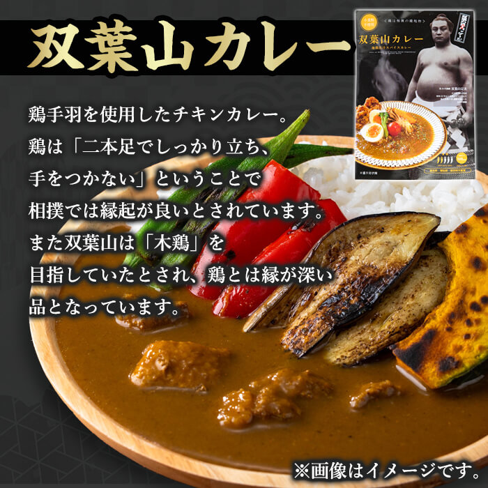 ＜訳あり・簡易包装＞双葉山カレー(計1.8kg・180g×10P) 鶏肉 鳥肉 とりにく とり肉 お肉 カレー チキンカレー スパイスカレー レトルト 簡単調理 常温 保存【115601500】【SFPコンサルティング】