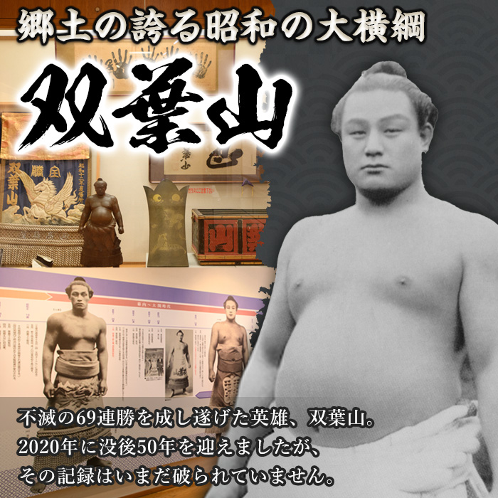 双葉山ポロシャツ・M(1点) シャツ 服 スポーツ トップス ネイビー オリジナル グッズ ファッション 男女兼用【115612100】【SFPコンサルティング】