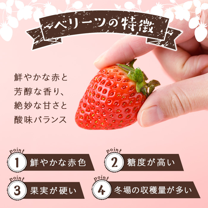 ＜先行予約受付中！2026年1月下旬～3月中旬に順次発送予定＞＜数量限定＞ベリーツ いちご (計約560g・280g×2パック) 苺 イチゴ フルーツ 果物 くだもの 果実 ベリーツ【115800300】【大分中央農産】