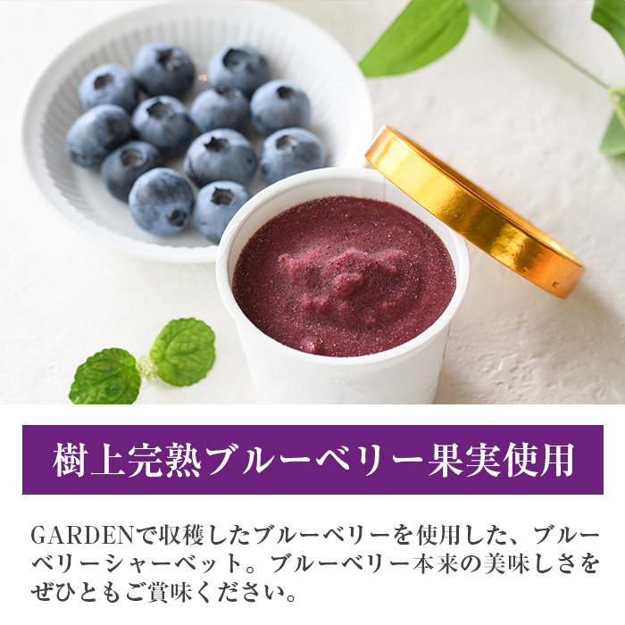 ブルーベリーシャーベット(計660ml・110ml×6個) シャーベット アイスクリーム ソルベ フルーツ ブルーベリー 果物 スイーツ デザート おやつ 勝負めし 【116500300】【藍苺GARDEN イロハノホトリ】