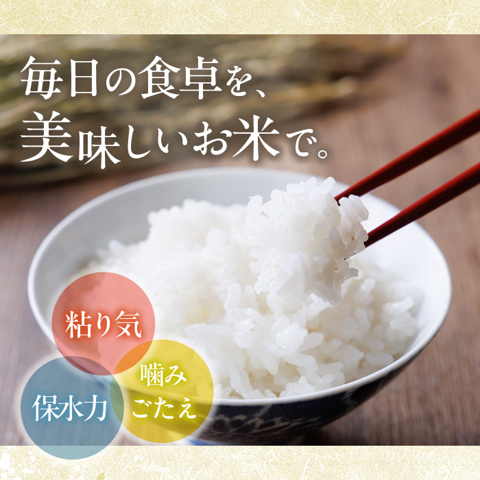 ヒノヒカリ 白米 (10kg) お米 ごはん ご飯 ひのひかり 数量限定 【118300400】【真田　定二】