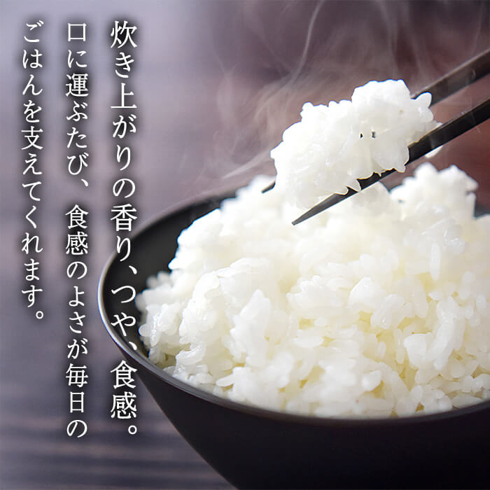 なつほのか (計5kg) 米 お米 なつほのか ナツホノカ 白米 ご飯 大分県産【118500100】【両院農産】