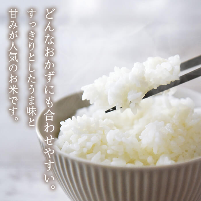 ひのひかり (計5kg) 米 お米 ひのひかり ヒノヒカリ 白米 ご飯 大分県産【118500200】【両院農産】