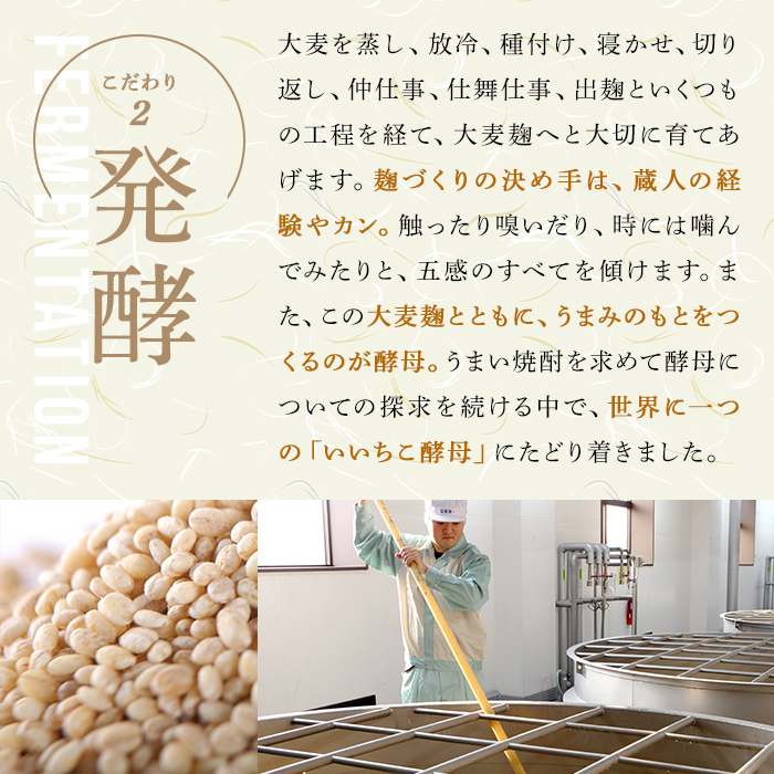 ＜定期便・全3回(連続)＞いいちこ 25度 パック(総量16.2L・計5.4L×3回)酒 お酒 むぎ焼酎 1800ml 麦焼酎 いいちこ 常温 三和酒類 紙パック【206100101】【酒のひろた】