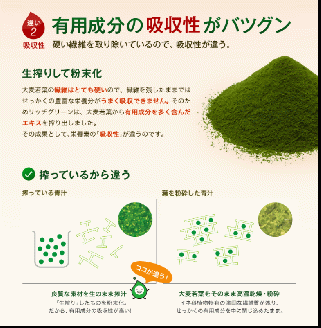 リッチグリーン＋シェーカーコップセット(計90g・3g×30P)青汁 スムージー 大麦若葉 シェーカー付き 飲料 粉末 常温【103100300】【ケンプリア】