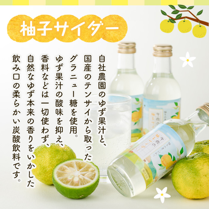 宇佐の柚子サイダーセット(計2L・200ml×10本)ゆず ドリンク ジュース 果汁飲料 柚子 夏みかん サイダー セット【100600301】【櫛野農園】