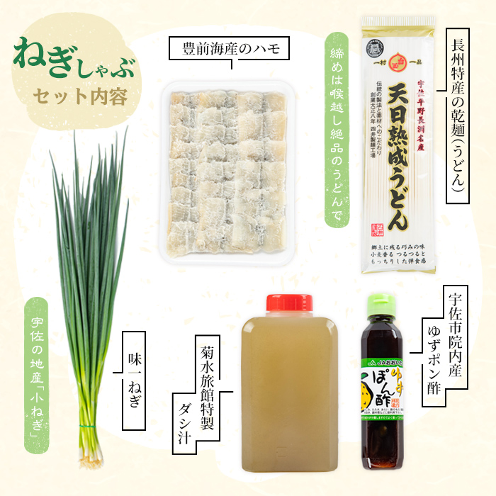 ねぎしゃぶ(鱧はも)セット(5品)ねぎしゃぶ しゃぶしゃぶ 鱧 はも 鍋 お鍋 うどん付き セット【101500201】【菊水旅館】