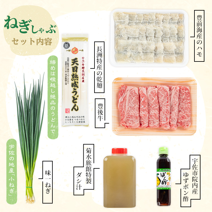 ねぎしゃぶ＋太閤からあげ(7品)ねぎしゃぶ しゃぶしゃぶ おおいた和牛 鱧 はも 鍋 お鍋 唐揚げ からあげ セット【101500501】【菊水旅館】