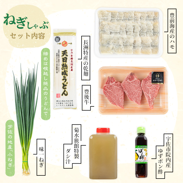 ねぎしゃぶ(鱧はも)＋ヒレステーキセット(6品)ねぎしゃぶ しゃぶしゃぶ 鱧 はも 鍋 お鍋 和牛 ヒレステーキ セット【101500601】【菊水旅館】