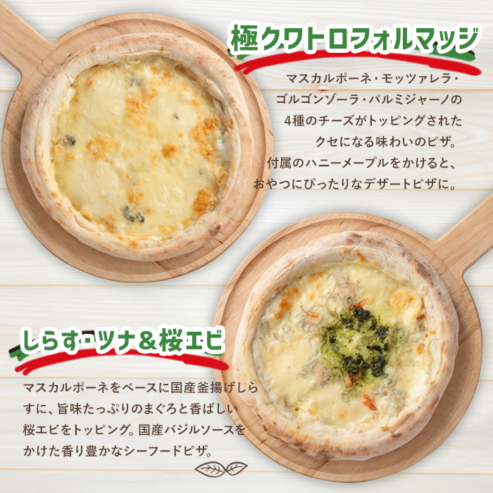 南の大地ピザ Aセット(合計5枚)ピザ イタリアン 冷凍 お祝い パーティー 惣菜 こだわり セット【102100100】【スターフーズ】