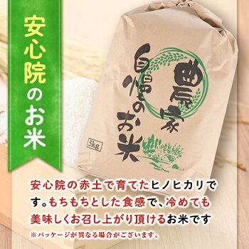 産地直送！宇佐のお米と季節の野菜詰合せ(お米5kg＋野菜詰め合わせ)米 お米 野菜 季節の野菜 詰合せ 安心院産 大分県産 勝負めし 【103700102】【小の岩の庄】