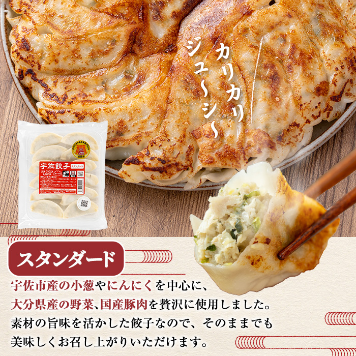 味深屋の宇佐餃子よりどりセット(合計12袋・5種)餃子 ぎょうざ 簡単 惣菜 おかず おつまみ 簡単調理 焼くだけ 食べ比べ セット【104200200】【ＮＰＯ法人 結び恵会】