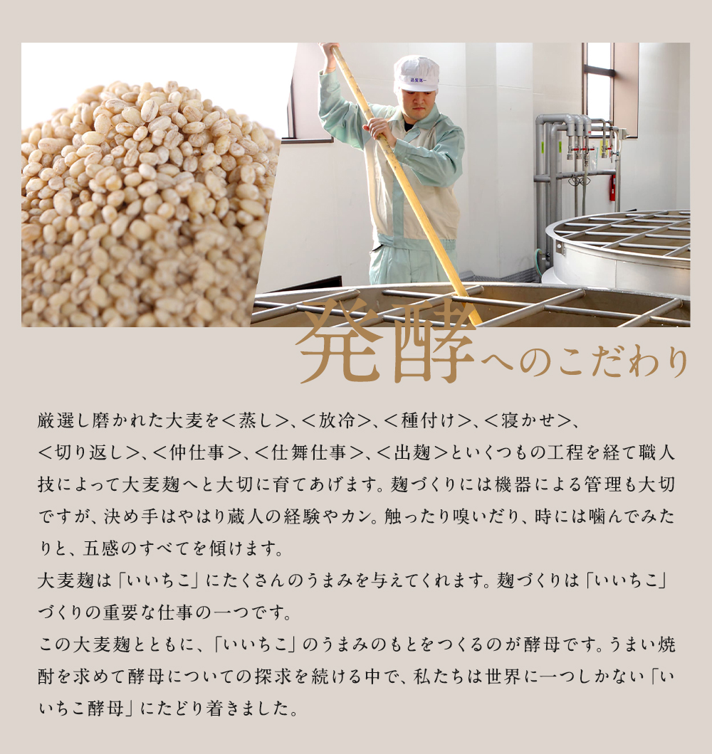 いいちこ/西の星 ビン 20度(合計1.8L・900ml×2本)酒 お酒 むぎ焼酎 900ml 麦焼酎 いいちこ 西の星 常温 三和酒類 飲み比べ ギフト 贈り物【104300600】【山添産業】