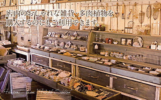 PEOPLESTATION ピープルステーション ギフト券(3,000円分・1,000円×3枚)カフェ ランチ 買い物 チケット ギフト券【104301200】【山添産業】