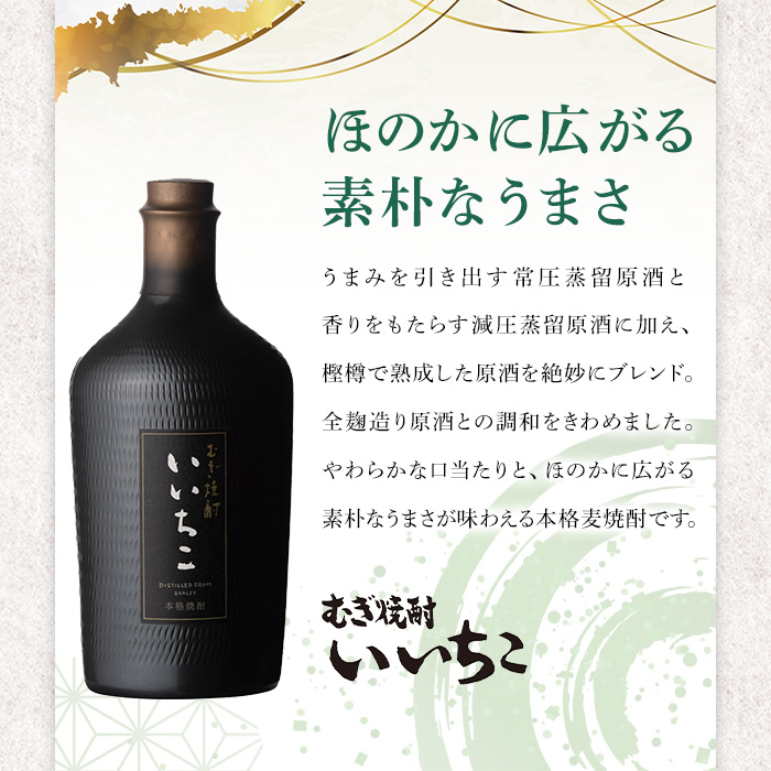 いいちこ 民陶くろびん/長期熟成貯蔵酒(合計1.44L・720ml×2本)酒 お酒 むぎ焼酎 720ml 麦焼酎 いいちこ 常温 三和酒類 飲み比べ ギフト 贈り物【104301500】【山添産業】