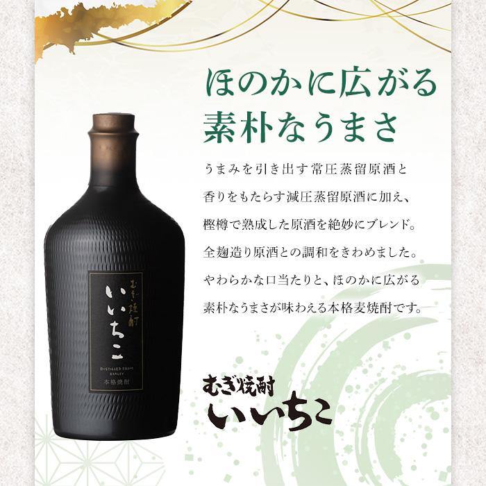 いいちこ民陶くろびん 25度(720ml×6本)酒 お酒 むぎ焼酎 720ml 麦焼酎 いいちこ アルコール 飲料 常温【106105500】【酒のひろた】