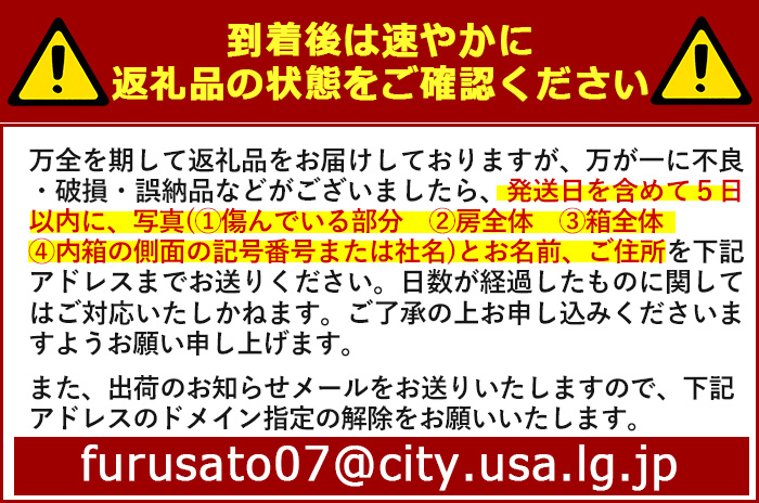 特選シャインマスカット(約5kg)シャインマスカット ぶどう 葡萄 フルーツ 果物 くだもの 果実 特選＜先行予約受付中！2026年8月下旬より順次発送予定＞＜北海道、沖縄、離島配送不可＞【106300700】【大分県農業協同組合　北部エリア】