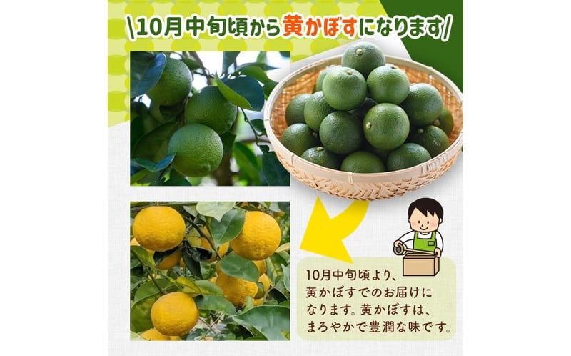 露地カボス(約4kg)かぼす カボス 柑橘 特産品 大分県産【107100302】【あいはな農園】
