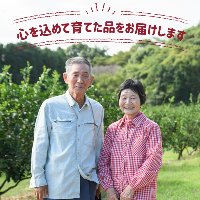 ＜令和7年産・新米＞ひのひかり 玄米 (5kg) お米 ごはん ご飯【107101302】【あいはな農園】