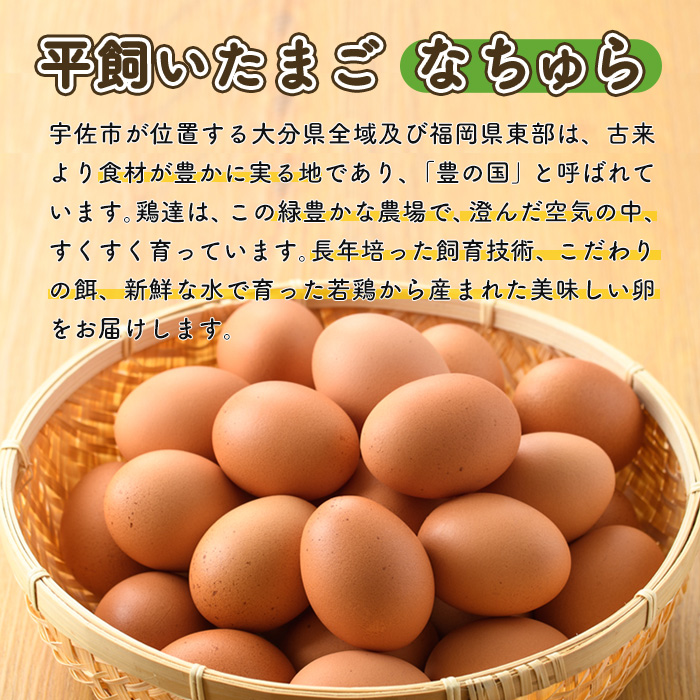 平飼い卵 なちゅら(計30個・10個×3P) 卵 玉子 鶏卵 卵かけご飯 玉子焼き【108800400】【カジワラファーム】