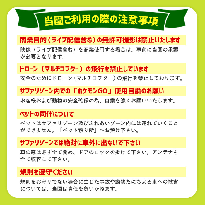 アフリカンサファリ入園券とオリジナルクリアファイルのセット(入園券(大人1枚・小人4枚)とクリアファイル)チケット 動物園 サファリパーク形動物園 家族旅行 デート 観光【110601400】【九州アフリカ・ライオン・サファリ】