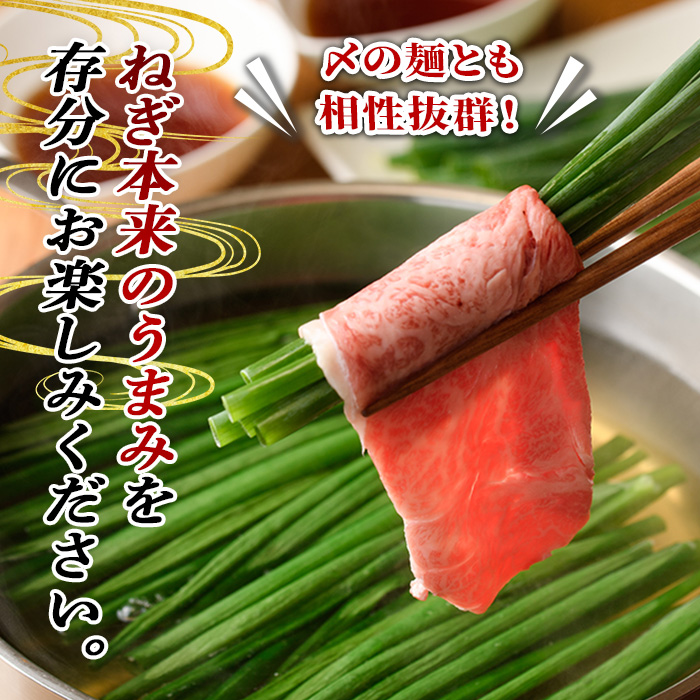 鉄板バル葱屋の ねぎしゃぶセット プレミアム (2～3人前) ねぎしゃぶ しゃぶしゃぶ 牛肉 お肉 鍋セット 乾麺 出汁 だし ポン酢 勝負めし 【110700700】【葱屋おおくぼ】