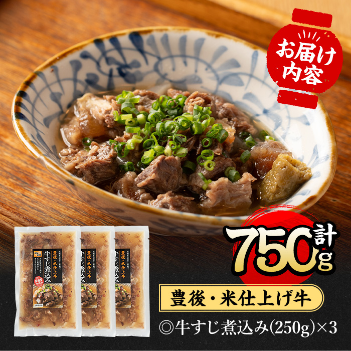 豊後米仕上げ牛 牛すじ煮込み(計750g・250g×3パック)牛肉 お肉 おかず おつまみ 小分け 簡単調理 時短 冷凍 惣菜【111100201】【神楽茶屋】