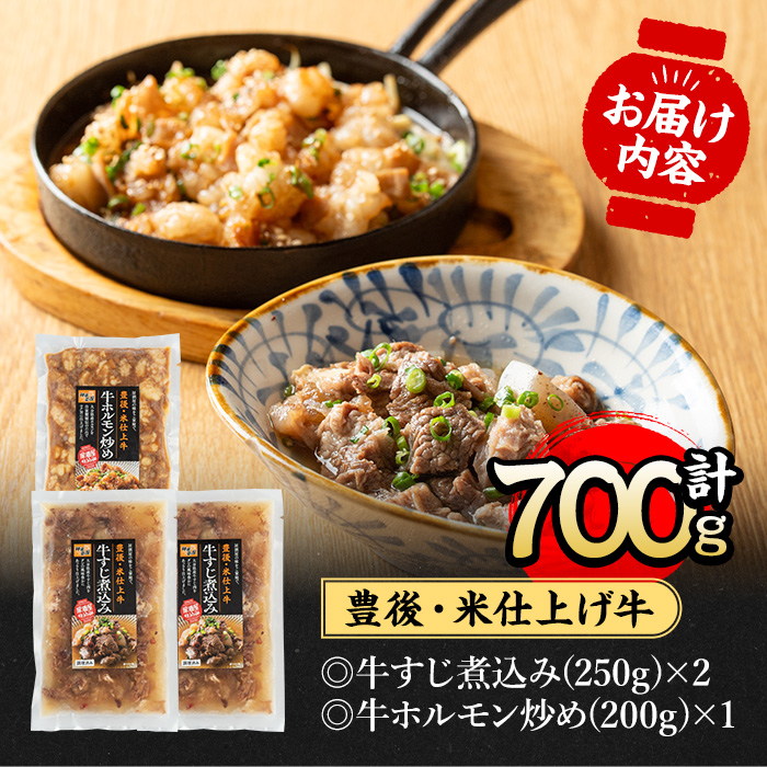 豊後米仕上げ牛牛すじ煮込み＋牛ホルモン炒めセット(合計700g・3パック)牛肉 お肉 小腸 おかず おつまみ 小分け 簡単調理 時短 惣菜【111100301】【神楽茶屋】