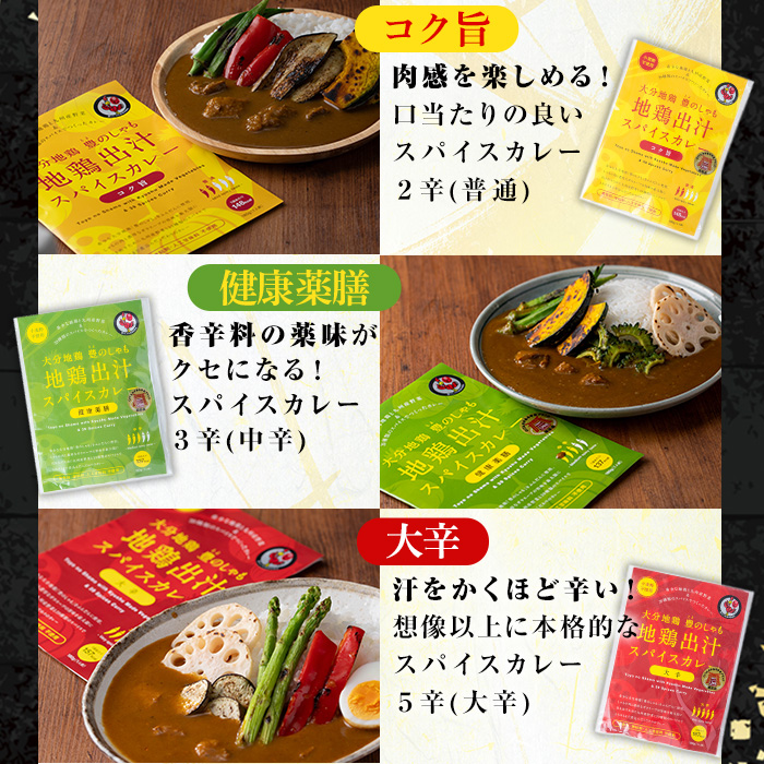 大分地鶏豊のしゃも地鶏出汁スパイスカレー(計900g・180g×5パック)レトルト 簡単調理 惣菜 時短 常温 ご当地カレー【112400301】【天峯ファーム】