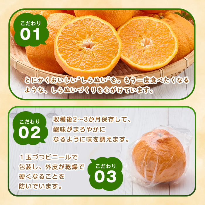 ＜先行予約受付中！2026年3月上旬～4月上旬の間に発送予定＞不知火(2L～3L・2.8kg～)みかん フルーツ しらぬい 柑橘 ミカン【113300300】【谷崎美眞子果樹園】