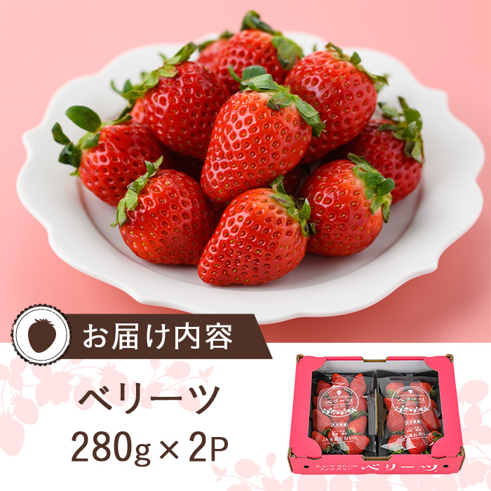 ＜先行予約受付中！2026年1月下旬～3月中旬に順次発送予定＞＜数量限定＞ベリーツ いちご (計約560g・280g×2パック) 苺 イチゴ フルーツ 果物 くだもの 果実 ベリーツ【115800300】【大分中央農産】