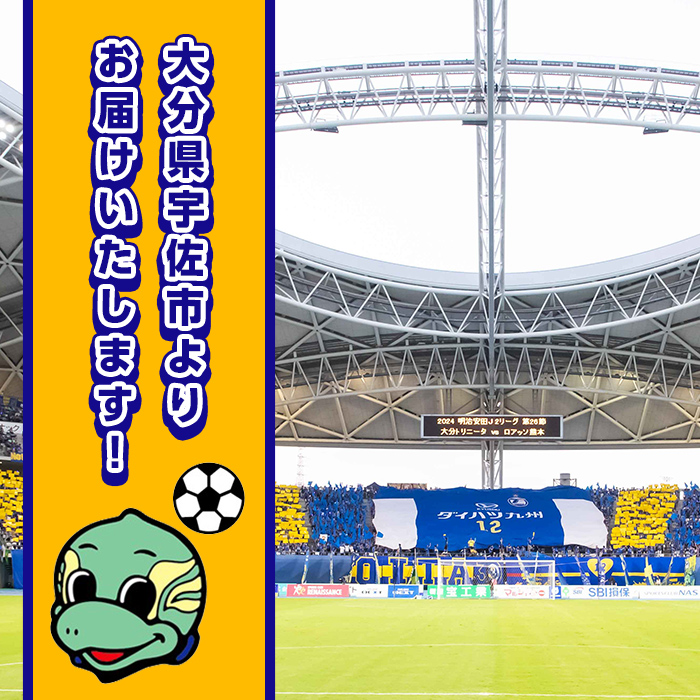 大分トリニータ 公式マスコットぬいぐるみ 圧倒的ニータン (1個) Jリーグ サッカー trinita にーたん グッズ【116300700】【大分フットボールクラブ】