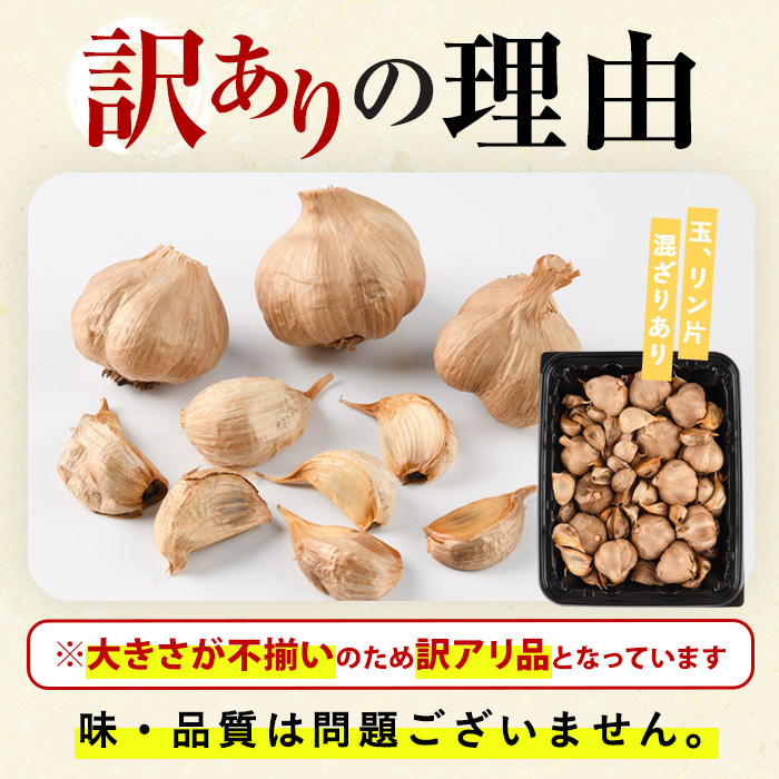＜訳あり・不揃い＞活力 黒にんにく(計800g・400g×2P) にんにく ニンニク 野菜【116600100】【シイズンドアグリ】