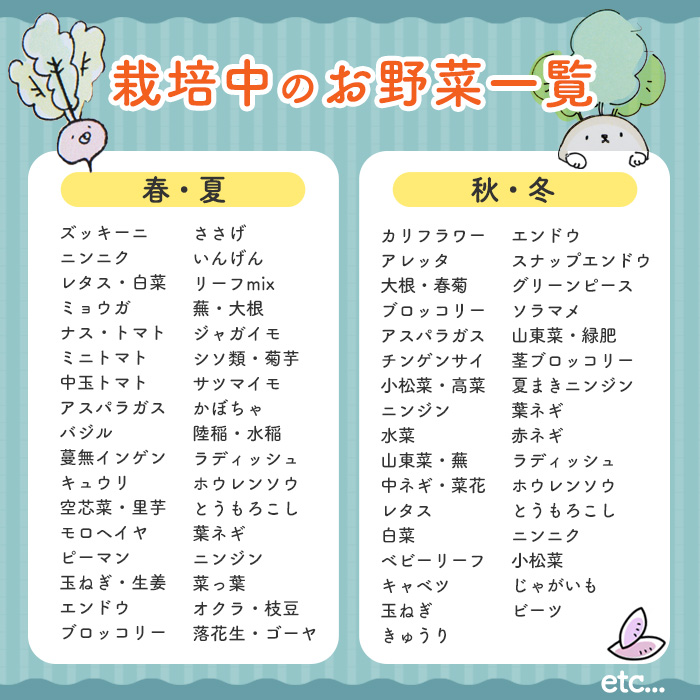 季節のお野菜 セット(7～9種) 野菜 やさい 詰合せ 詰め合わせ 季節 おまかせ お楽しみ【117000100】【やさしいお野菜 しん屋】