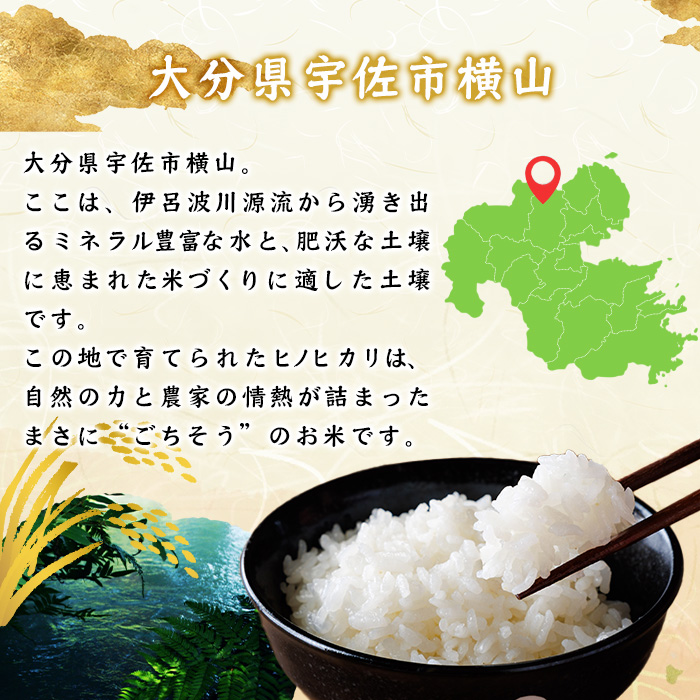 ヒノヒカリ 白米 (計5kg) お米 ごはん ご飯 ひのひかり 数量限定 【117800101】【ジョイライス大分】