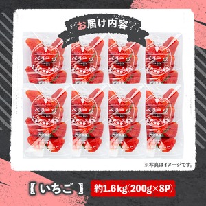 ＜2026年1月上旬～4月下旬の間に発送予定＞いちご(計約1.6kg・200g×8P)苺 イチゴ フルーツ 果物 くだもの 果実 ベリーツ【117900200】【Farm U.S.A.】