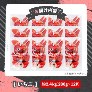 ＜2026年1月上旬～4月下旬の間に発送予定＞いちご(計約2.4kg・200g×12P)苺 イチゴ フルーツ 果物 くだもの 果実 ベリーツ【117900300】【Farm U.S.A.】