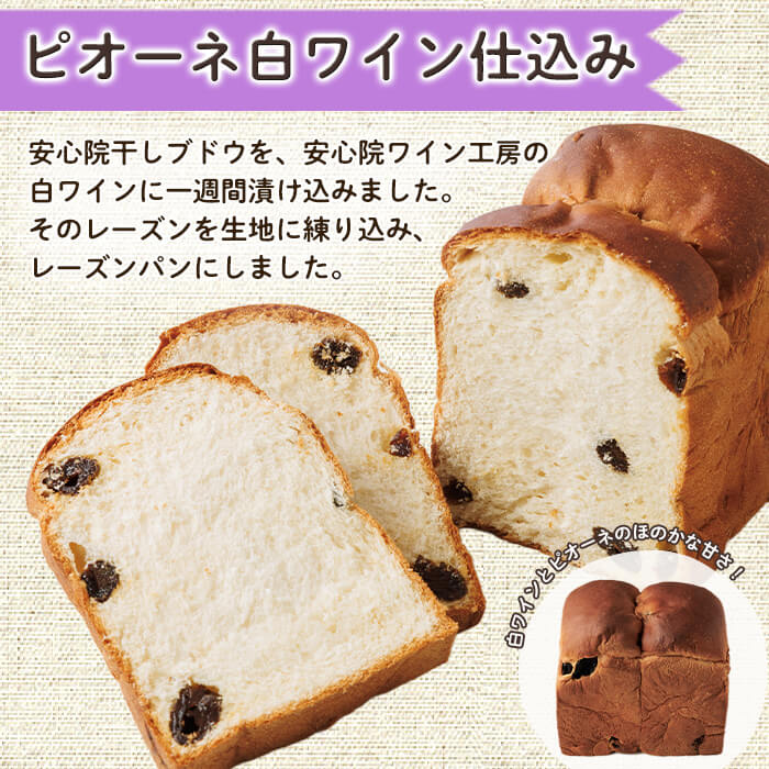 ピオーネ白ワイン仕込みパン(一斤・800g) パン 朝ごはん 朝食 おやつ レーズンパン 干しブドウ ピオーネ【118000100】【オーマイパン】