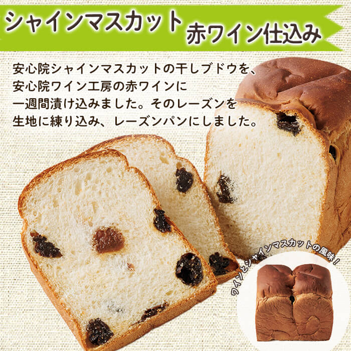 シャインマスカット赤ワイン仕込みパン(一斤・700g) パン 朝ごはん 朝食 おやつ レーズンパン 干しブドウ シャインマスカット【118000200】【オーマイパン】