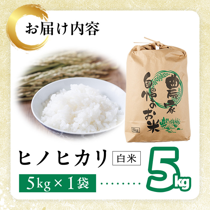 ヒノヒカリ 白米 (5kg) お米 ごはん ご飯 ひのひかり 数量限定 【118300300】【真田　定二】