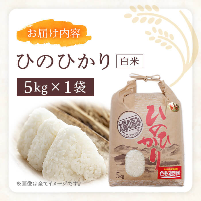 ひのひかり (計5kg) 米 お米 ひのひかり ヒノヒカリ 白米 ご飯 大分県産【118500200】【両院農産】