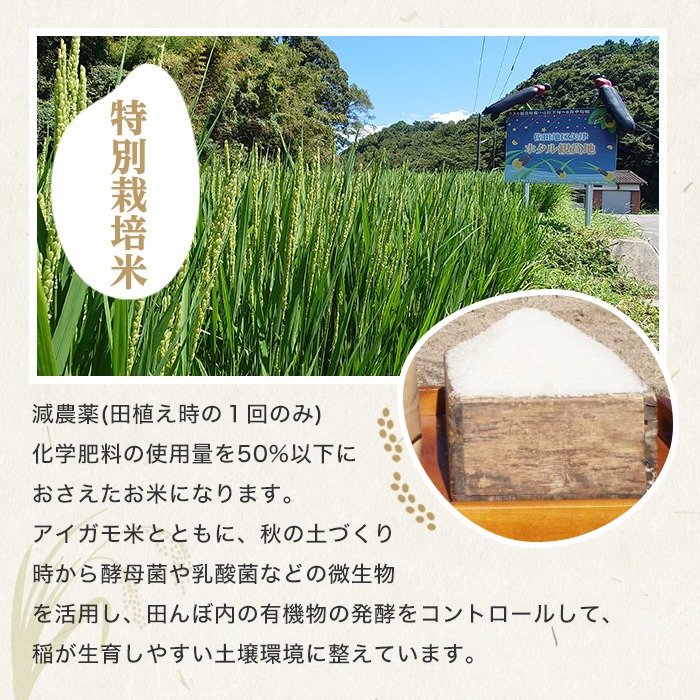 ＜定期便・総３回＞＜令和7年産＞佐田の郷の米 特別栽培米(計7.5kg)お米 白米 ごはん ヒノヒカリ ひのひかり ブランド米 常温 常温保存【211700600】【雅設置プロジェクト　佐田の郷の会】