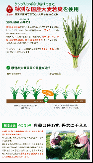 リッチグリーン(計270g・3g×30スティック×3個)青汁 スムージー 大麦若葉 飲料 粉末 常温【103100500】【ケンプリア】